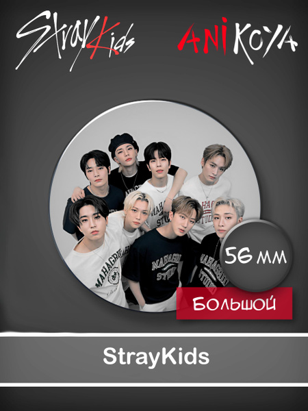 Значки к-pop Стрей Кидс / Stray Kids 56 мм AniKoya мерч - купить с ...