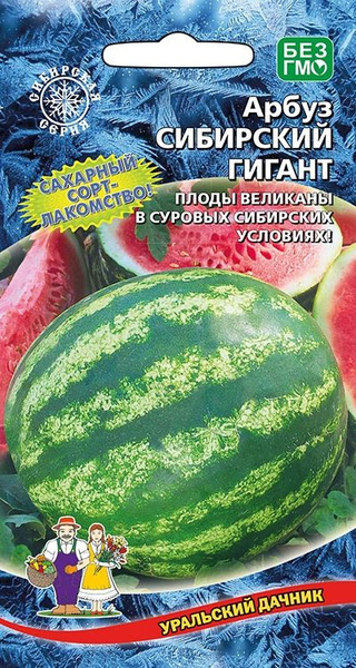 Арбуз Уральский дачник Арбуз Сибирский гигант - купить по выгодным ...