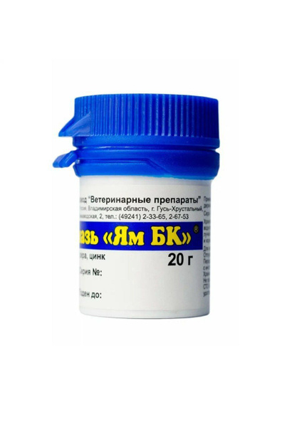 Мазь Ям БК 20 г купить на OZON по низкой цене (1421807594)