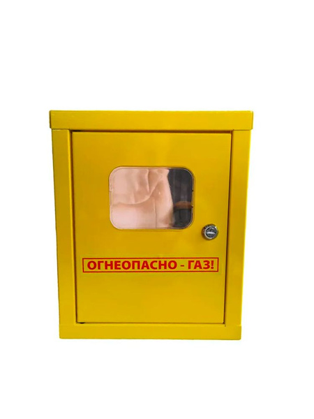 ГАЗЭЛЕКТРОНИКА Шкаф для газового счетчика Мембранный, G4 - купить с ...