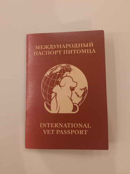 Паспорт ветеринарный - купить с доставкой по выгодным ценам в интернет ...