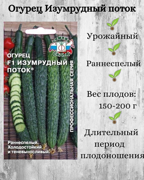 Огурцы Седек ос-1506_1_Изумрудный Поток - купить по выгодным ценам в ...