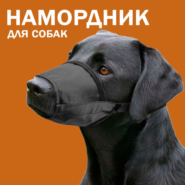 Намордник для собак нейлоновый XL - купить с доставкой по выгодным ...