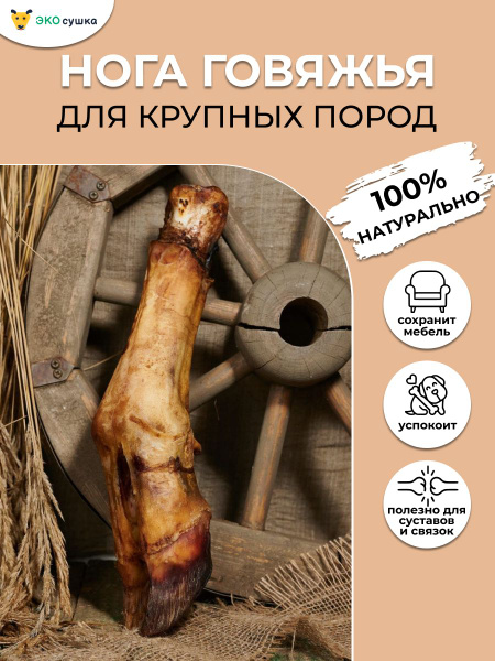 Нога говяжья (целая) кость для собак и кошек сушеное "Экосушка ...