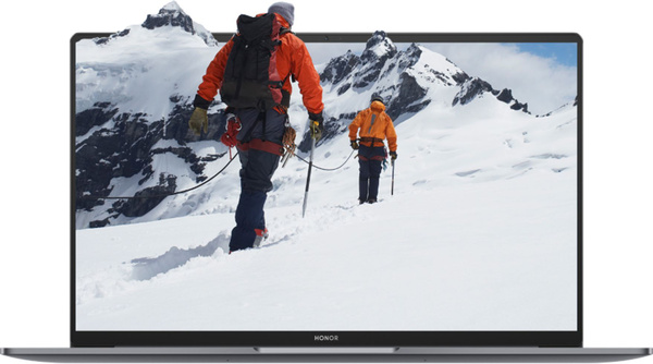 Ноутбук Honor MagicBook 16 HYM-W56, серебристый купить по низкой цене ...