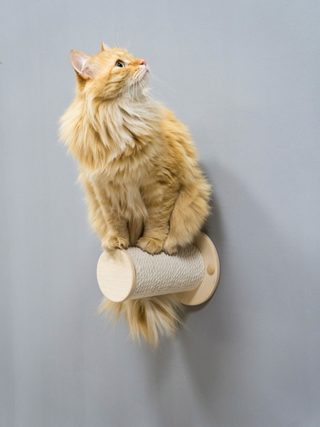 Когтеточка настенная для кошек / столбик хб - купить с доставкой по ...