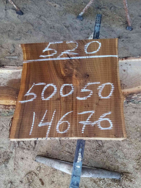Слэб из натурального дерева твёрдых пород карагач 50*520*500 - купить с ...