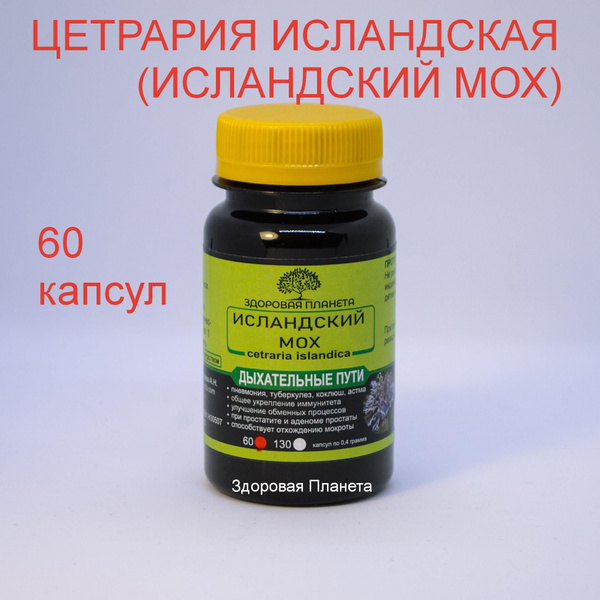Цетрария исландская (Исландский мох) 60 капсул Алтайский - купить с ...