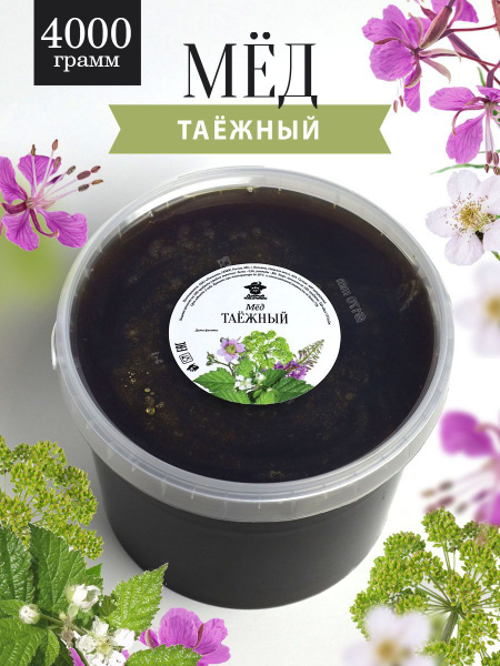 Таежный мед 4000 г, для иммунитета, полезный подарок - купить с ...