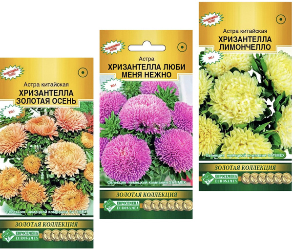 Астры однолетние Евросемена Деревья, кустарники, цветы - купить по ...