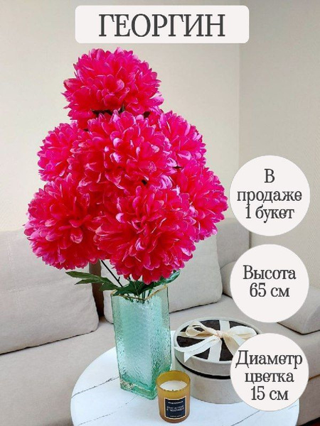 Купить Георгин 7 бутонов / 7 ответвлений по выгодной цене в интернет ...