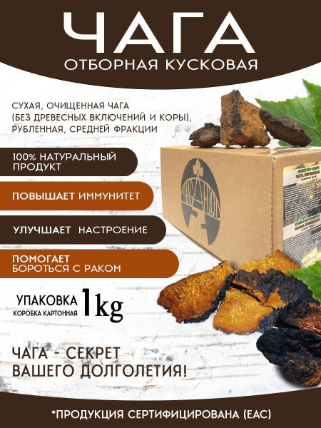 Чага березовая отборная кусковая для иммунитета - купить с доставкой по ...