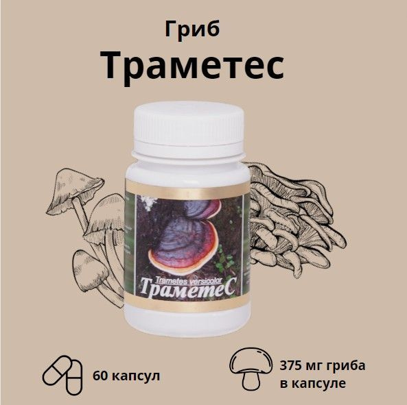 Гриб Траметес (60 капсул) - купить с доставкой по выгодным ценам в ...