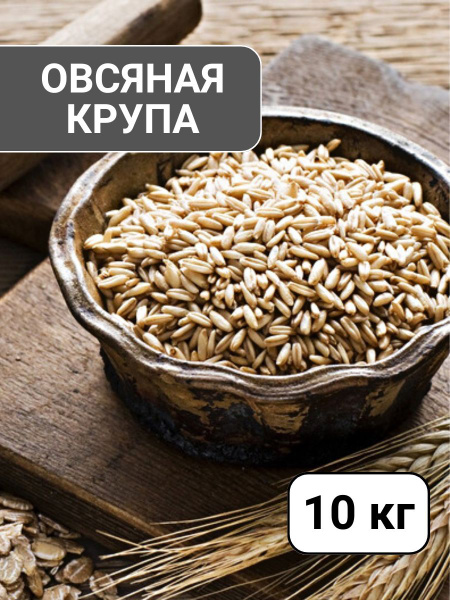 Крупа овсяная недробленая - купить с доставкой по выгодным ценам в ...