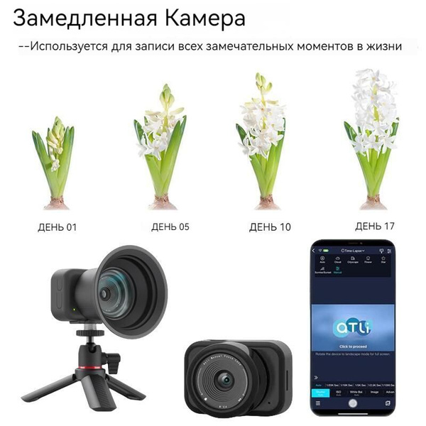 Компактный фотоаппарат YSX, черный - купить по выгодным ценам в ...