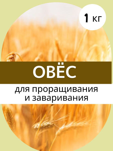 Овёс для проращивания и заваривания, отваров и настоев, 1 кг - купить с ...
