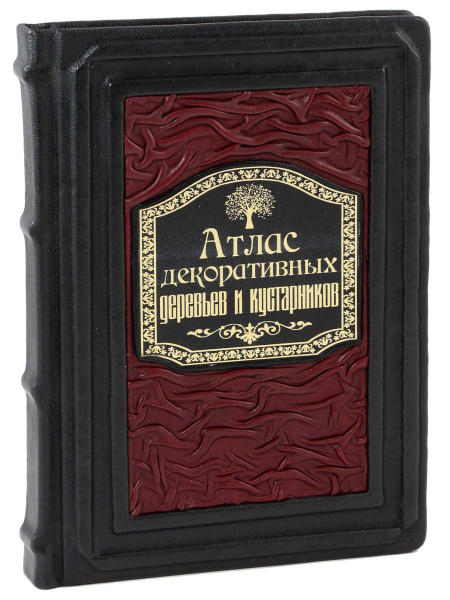 Атлас декоративных деревьев и кустарников (Подарочная) - купить с ...