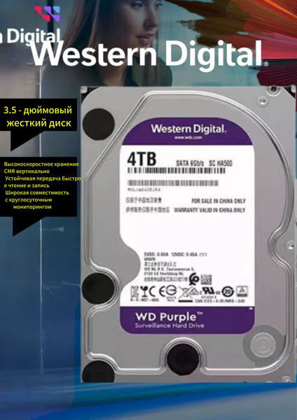 4 ТБ Внутренний жесткий диск Western Digital WDWD40PURX (WD40PURX ...