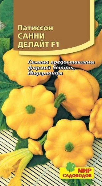 Патиссон санни. Патиссон санни