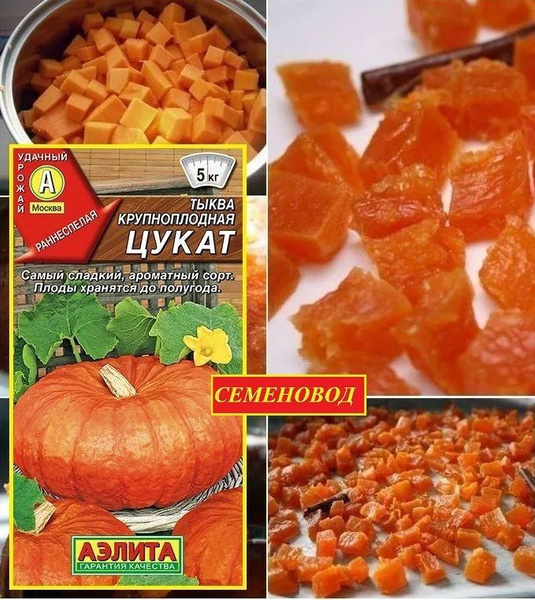Тыквы Агрофирма Аэлита Бахчевые_Тыква крупноплодная Цукат - купить по ...