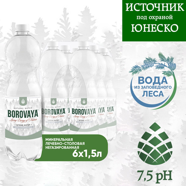 Вода минеральная BOROVAYA (БОРОВАЯ) лечебно-столовая питьевая природная ...
