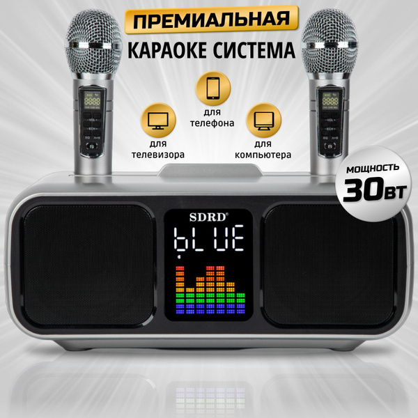 Домашняя Беспроводная Караоке система SDRD SD-318 серая с двумя ...