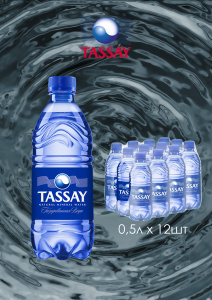 TASSAY Вода Минеральная Газированная 500мл. 96шт - купить с доставкой ...