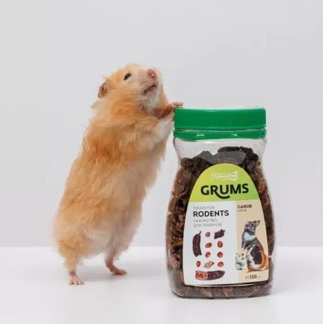 GRUMS Натуральное лакомство для грызунов Кэроб, 150 гр. - купить с ...