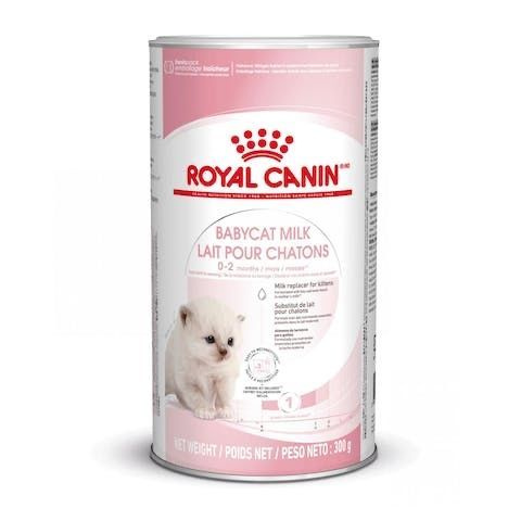 Royal Canin Babycat milk Молоко сухое для котят - купить с доставкой по ...
