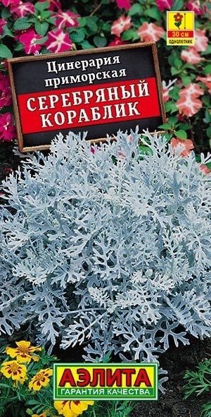 Цинерарии Аэлита Цветы Мир семян_1_серебристый_Цинерария Серебряный ...