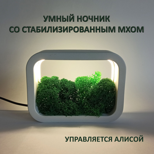 Купить Умный ночник со стабилизированным мхом. Ночник Алиса, 12 В по ...