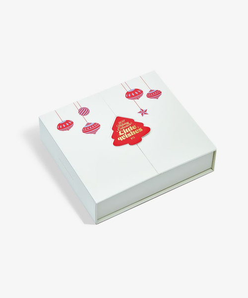 CD Адвент календарь BTS - Holiday Special Box - купить по низким ценам ...