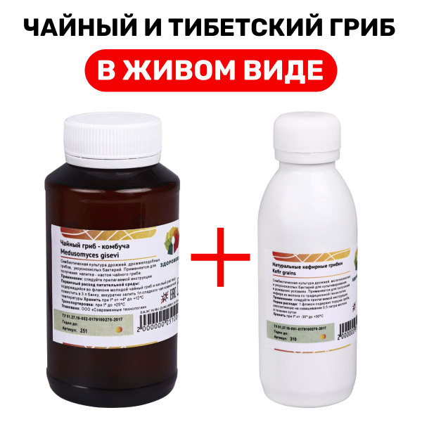 Тибетский кефирный гриб и Чайный гриб, в живом виде купить на OZON по ...