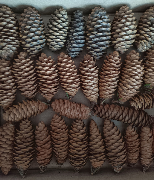 6857955266.jpg