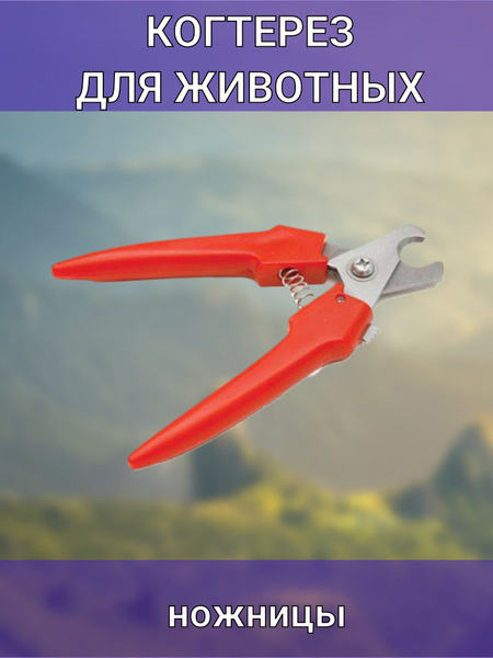 Когтерез для собак боковой большой - купить с доставкой по выгодным ...