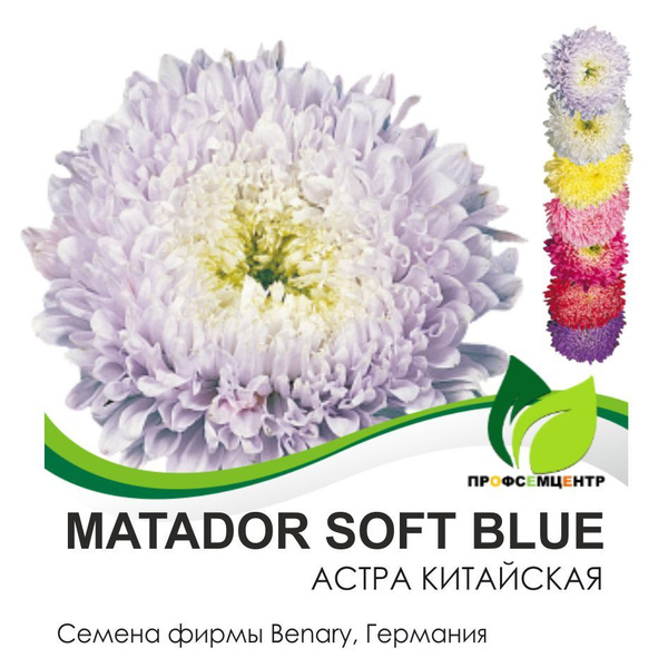 Астры однолетние Benary Астра - купить по выгодным ценам в интернет ...
