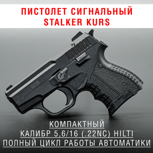 stalker kurs обзор