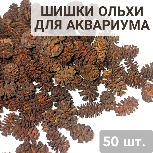 Шишки ольхи для аквариума, ольховые шишки для креветок и аквариумных ...