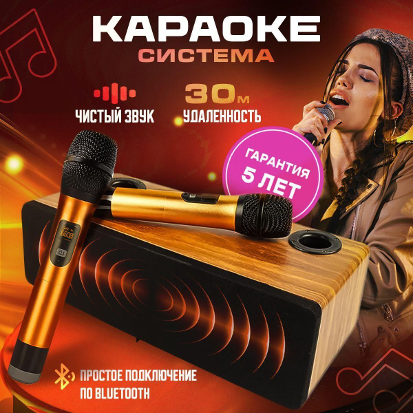 Беспроводная караоке система для дома, 2 микрофона - купить с доставкой ...