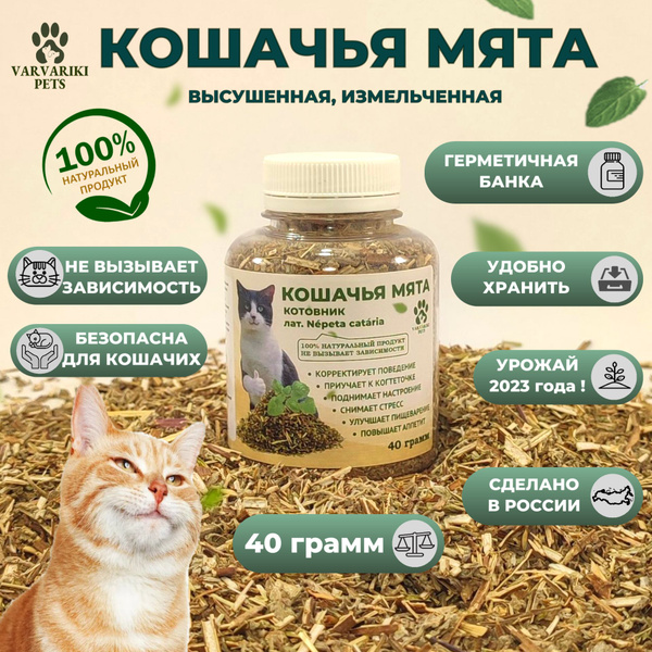 Кошачья мята котовник трава для кошек и котов сушеная измельченная в ...