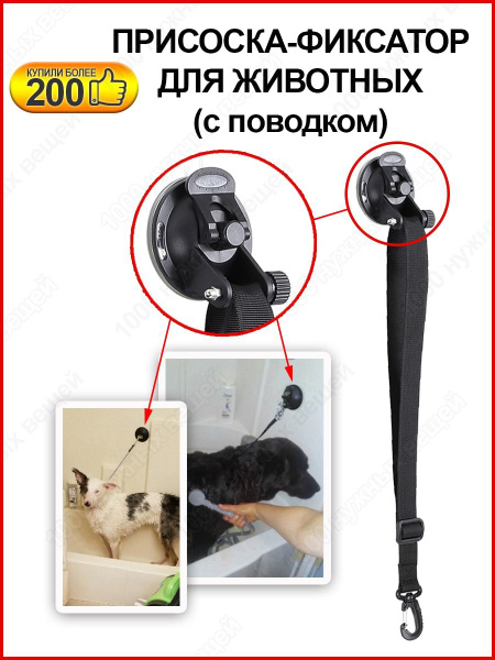 Присоска фиксатор для купания и груминга кошек и собак (с поводком ...