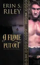A Flame Put Out - Erin S. Riley