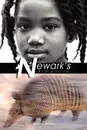 Newark's Armadillo - Arlene J. Ramsey