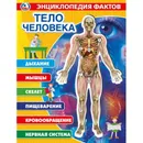 Тело человека. Энциклопедия - Хомякова К.