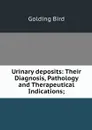 Urinary deposits: Their Diagnosis, Pathology and Therapeutical Indications; - Golding Bird