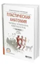 Пластическая анатомия человека, четвероногих животных и птиц - Рабинович Михаил Цезаревич