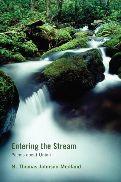 Обложка книги Entering the Stream, N. Thomas Johnson-Medland