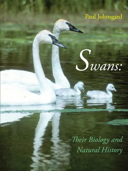 Обложка книги Swans. Their Biology and Natural History, Paul Johnsgard