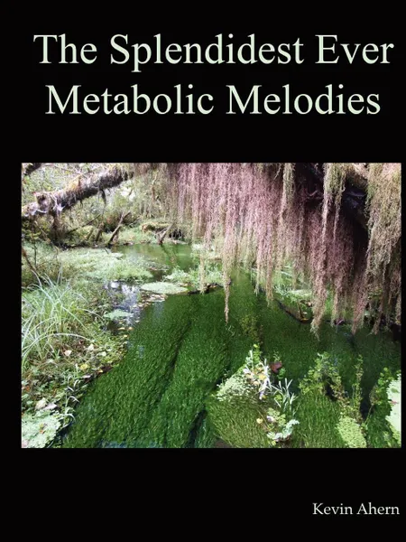 Обложка книги The Splendidest Ever Metabolic Melodies, Kevin Ahern