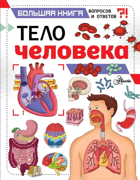 Обложка книги Тело человека, Фарндон Джон